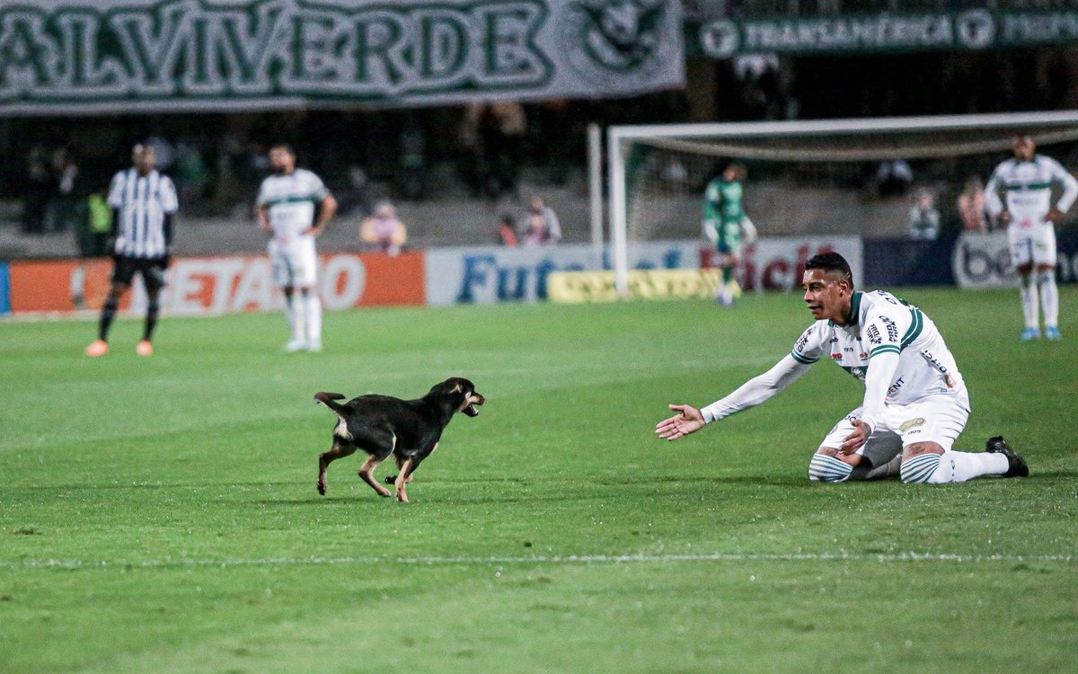 Dribla perrito a medio mundo en el futbol brasileño | Video
