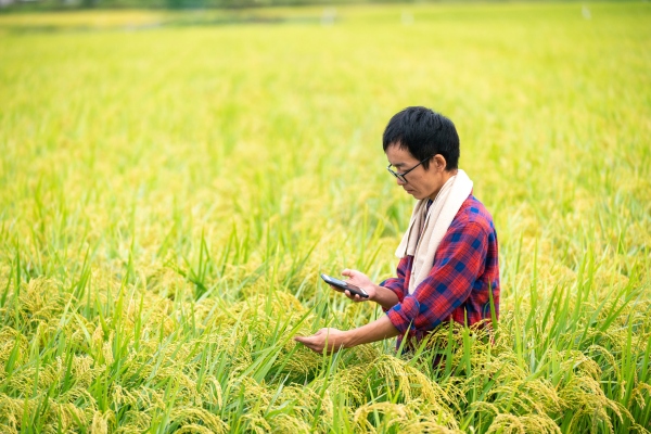 La empresa Agritech Cropin lanza su plataforma en la nube para digitalizar la industria agrícola