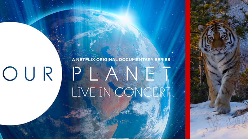 La gira en vivo de lanzamiento de 'Nuestro planeta' de Netflix en 2022 y 2023