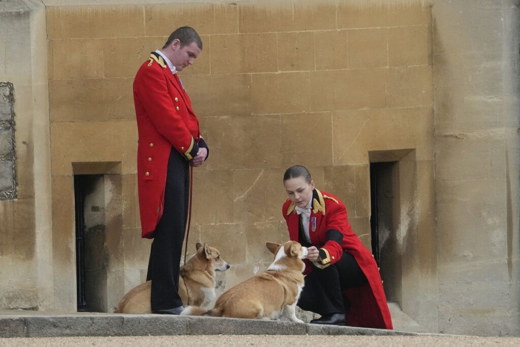 Los perros corgis de la Reina, la araña del féretro y otras anécdotas del funeral de Isabel II