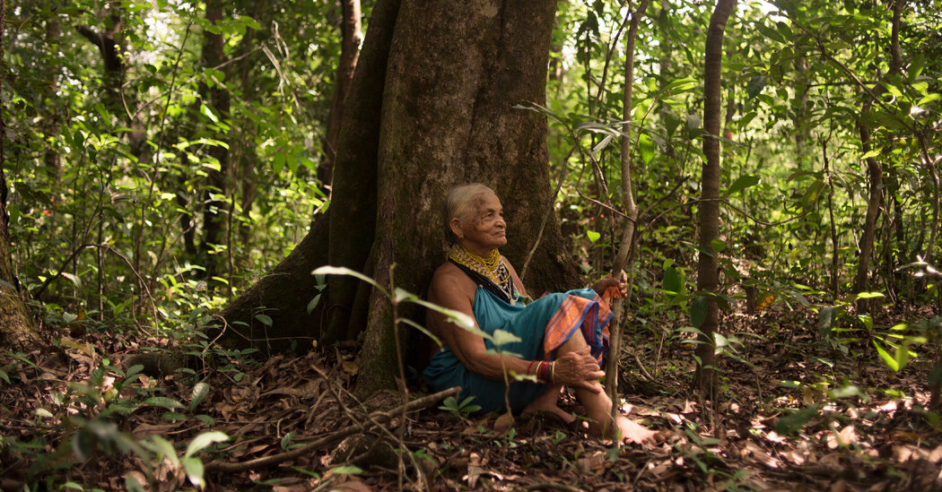 ‘Magia en sus manos’.  La mujer que devuelve la vida a los bosques de la India