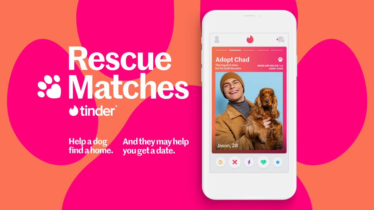 Tinder encuentra un mejor uso al agregar perros adoptables a su aplicación para celebrar la Semana Nacional del Perro