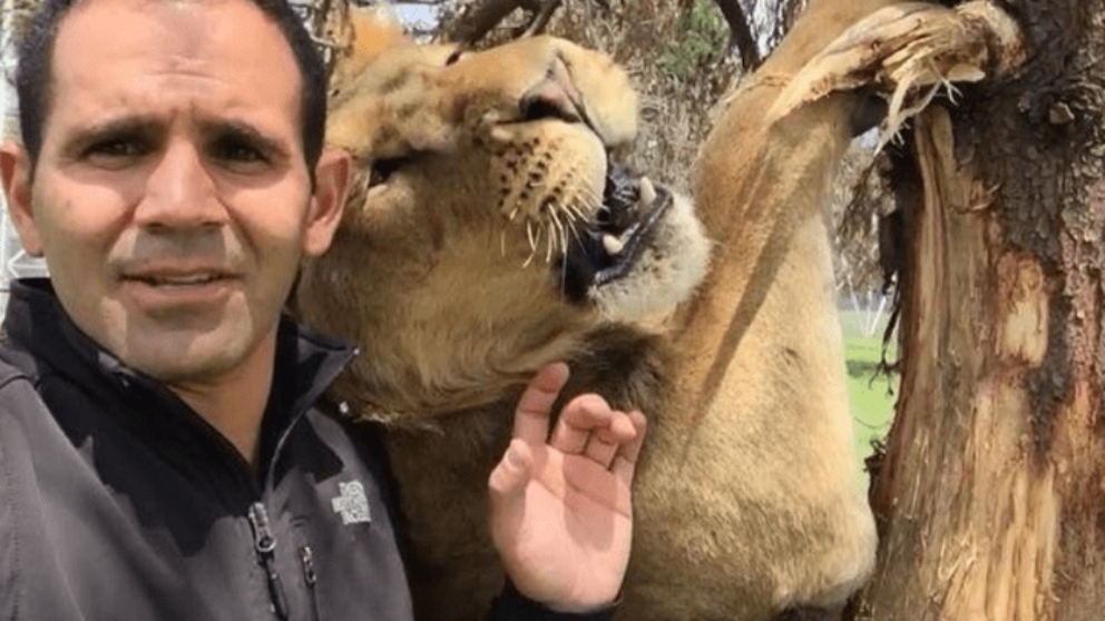 Un hombre comparte jaula con un león en Facebook