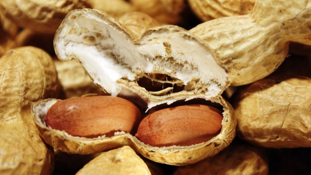 14 curiosidades sobre los cacahuetes