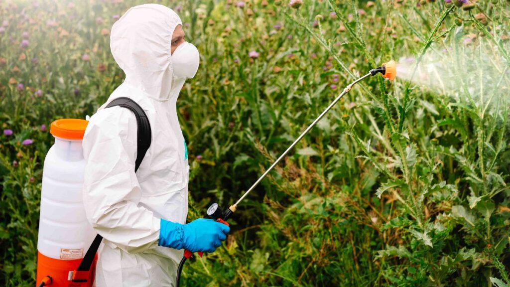 Sustancia potencialmente cancerígena se rocía en gran parte de los productos agrícolas de EEUU; conoce si estás expuesto