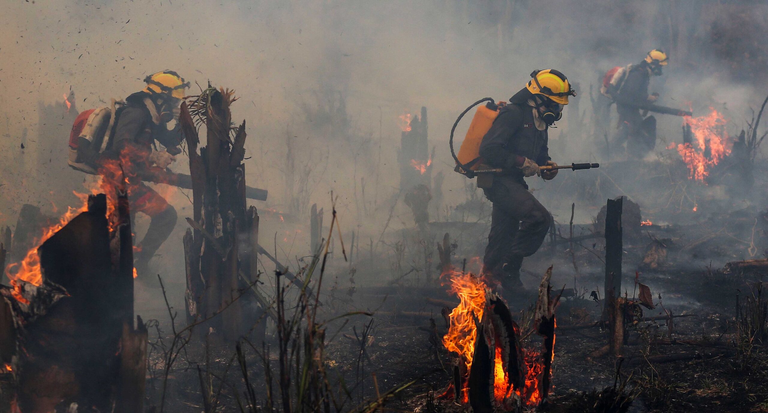 Brasil, el país que habría sufrido los peores incendios forestales en más de 10 años