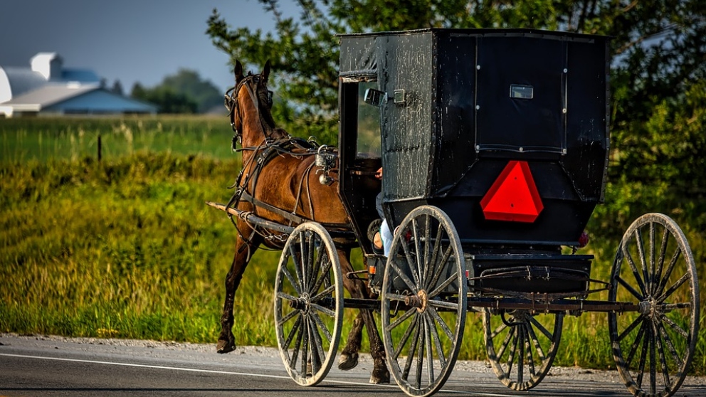 Curiosidades sobre los Amish