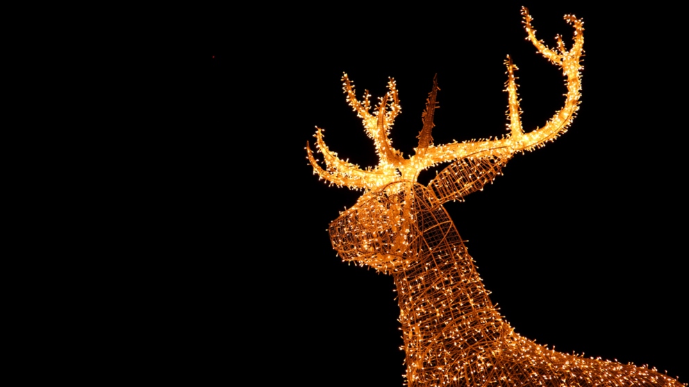 Guía para ver las luces de Navidad en tu ciudad