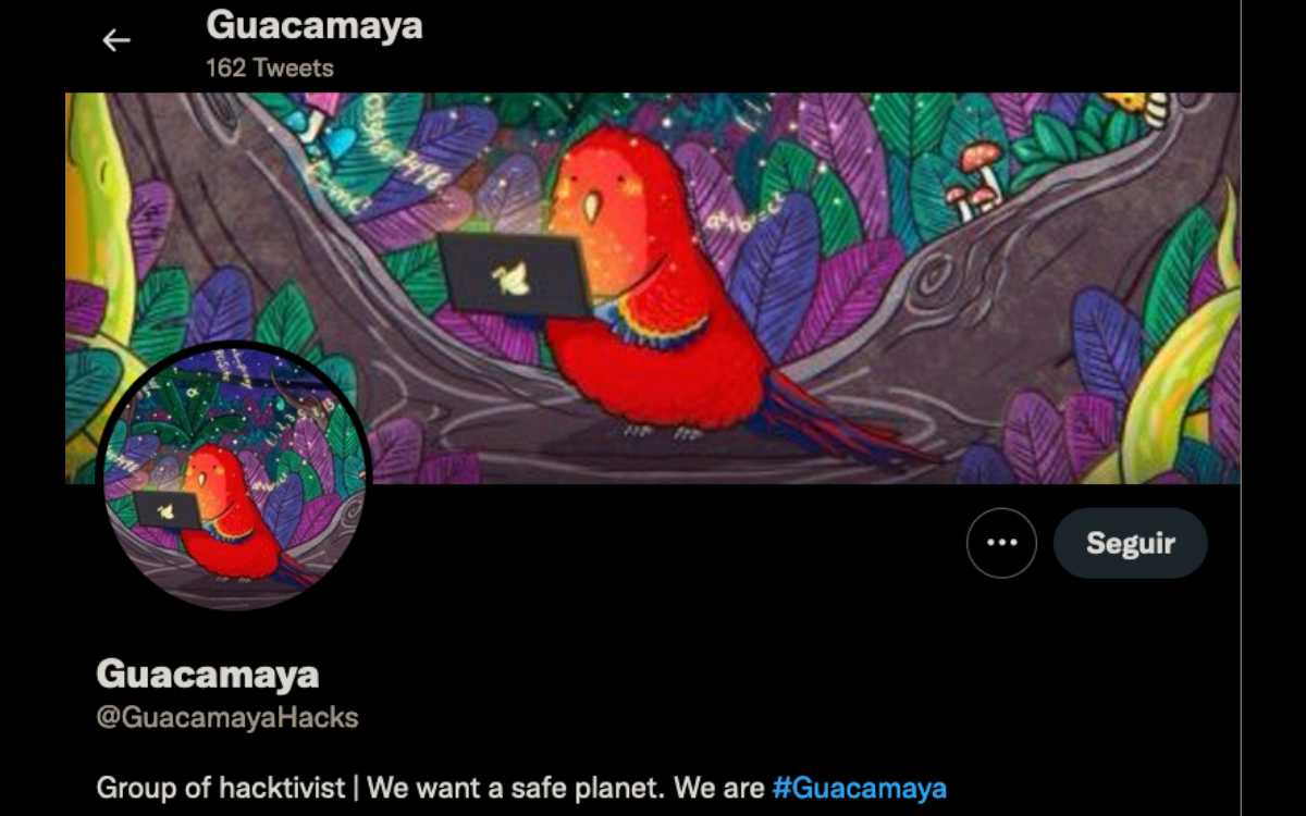Hackers de Sedena no tienen Twitter; es fake @GuacamayaHacks
