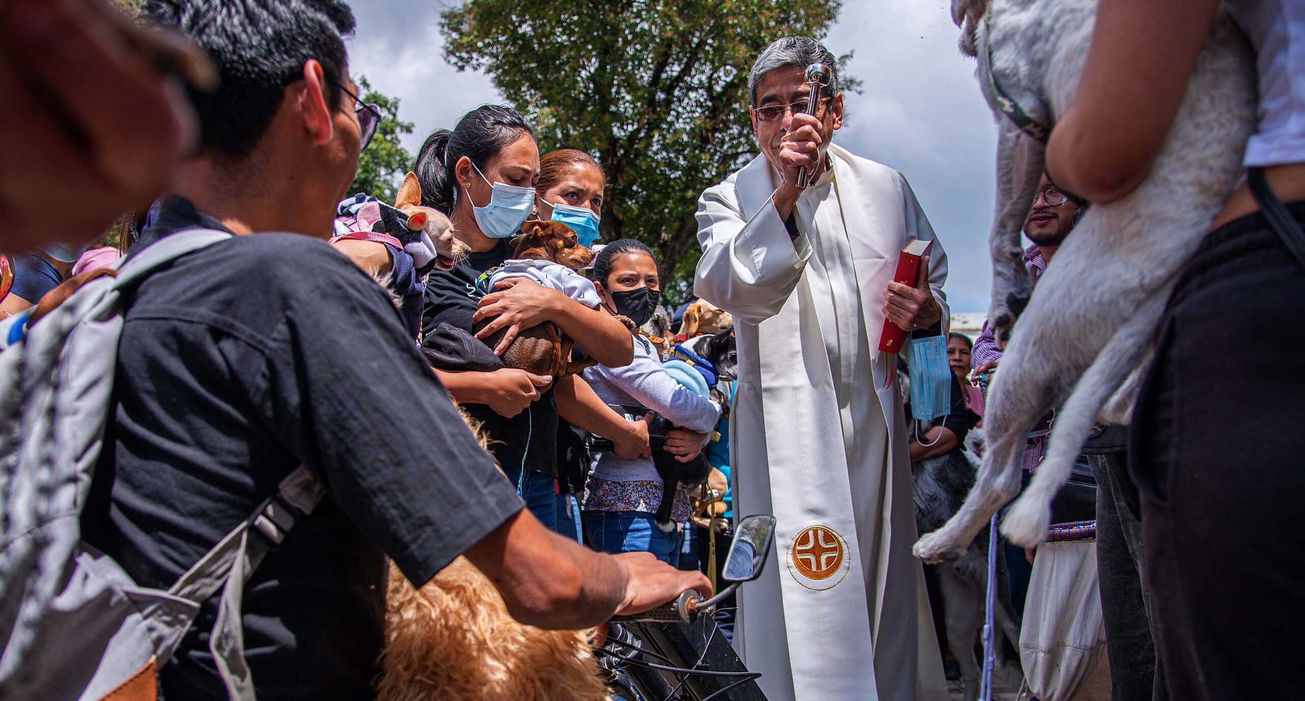 Iglesia bendice a más de 300 mascotas durante ceremonia en México