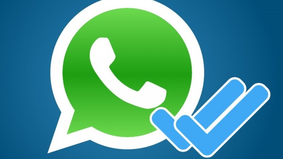 Qué significan los checks del WhatsApp y el resto de iconos al enviar un mensaje