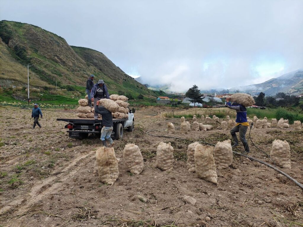 “Venezuela no necesita papa colombiana”: el grito de protesta de los agricultores venezolanos