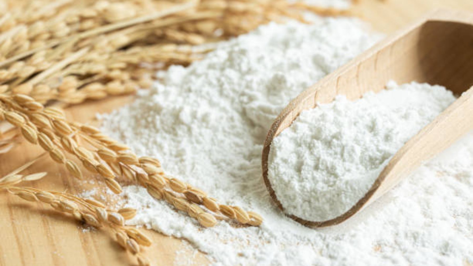 ¿Cuál es la diferencia entre harina y almidón?