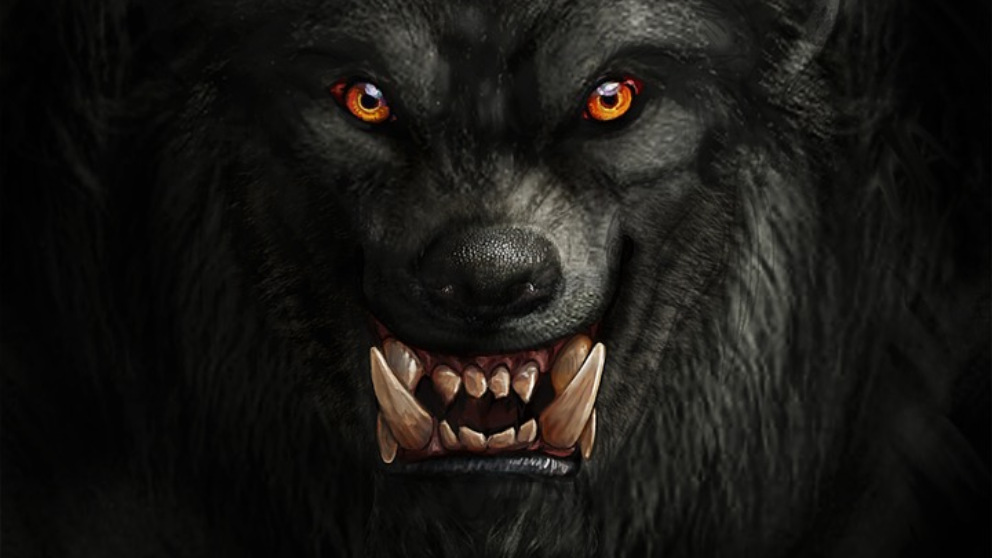 11 datos curiosos sobre el mito del hombre lobo