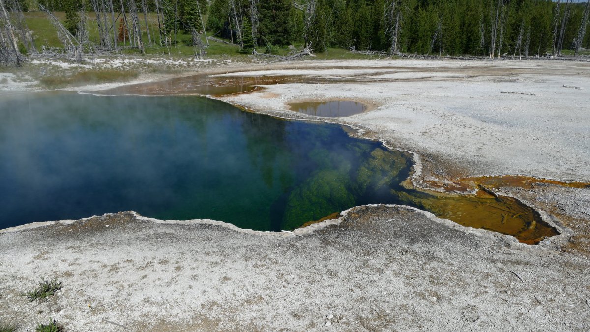 Encuentran pie de una persona en aguas termales de Yellowstone