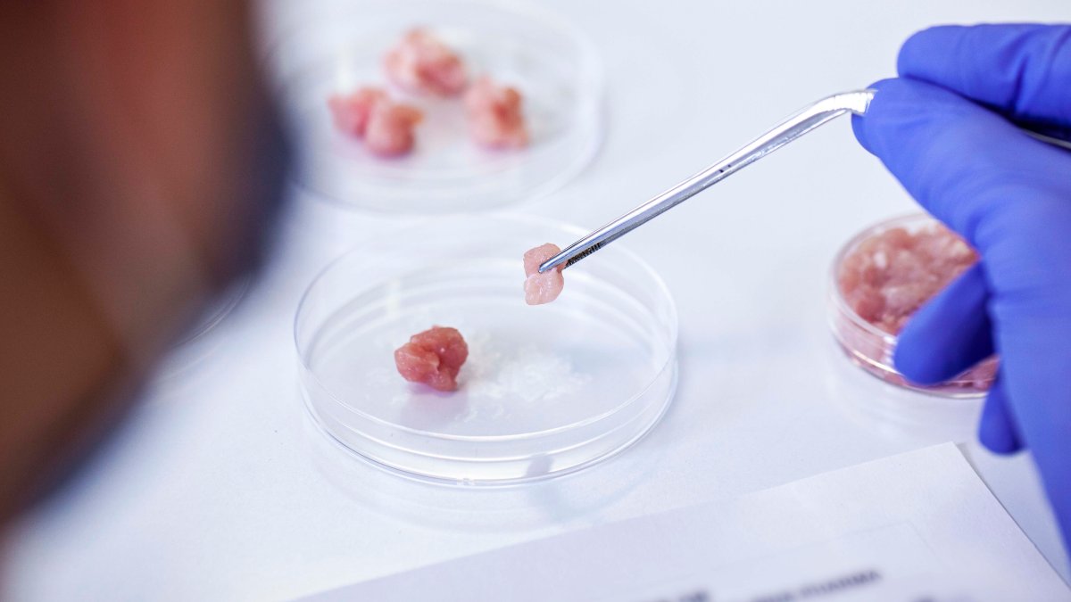 La FDA asegura que la carne cultivada en laboratorios puede ser consumida por el ser humano