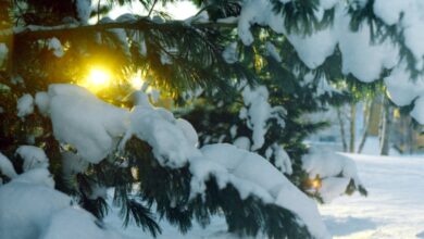 ¿Cuándo es el primer día de invierno y el solsticio de invierno?