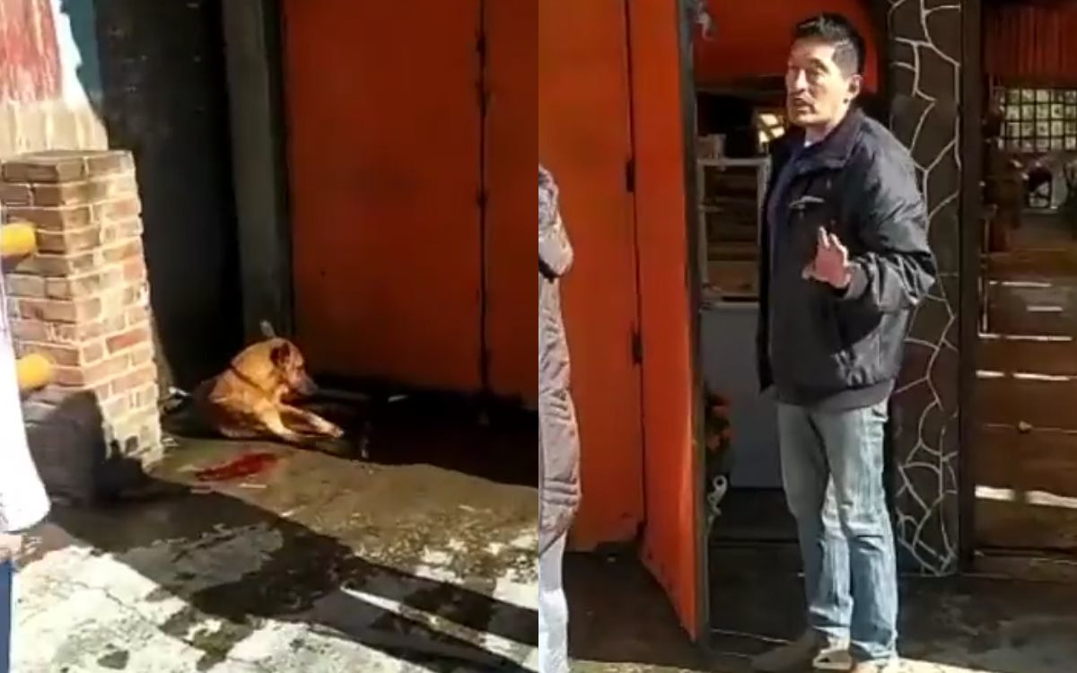 Alcaldía Tlalpan interpone denuncia ante asesinato de perro afuera de restaurante
