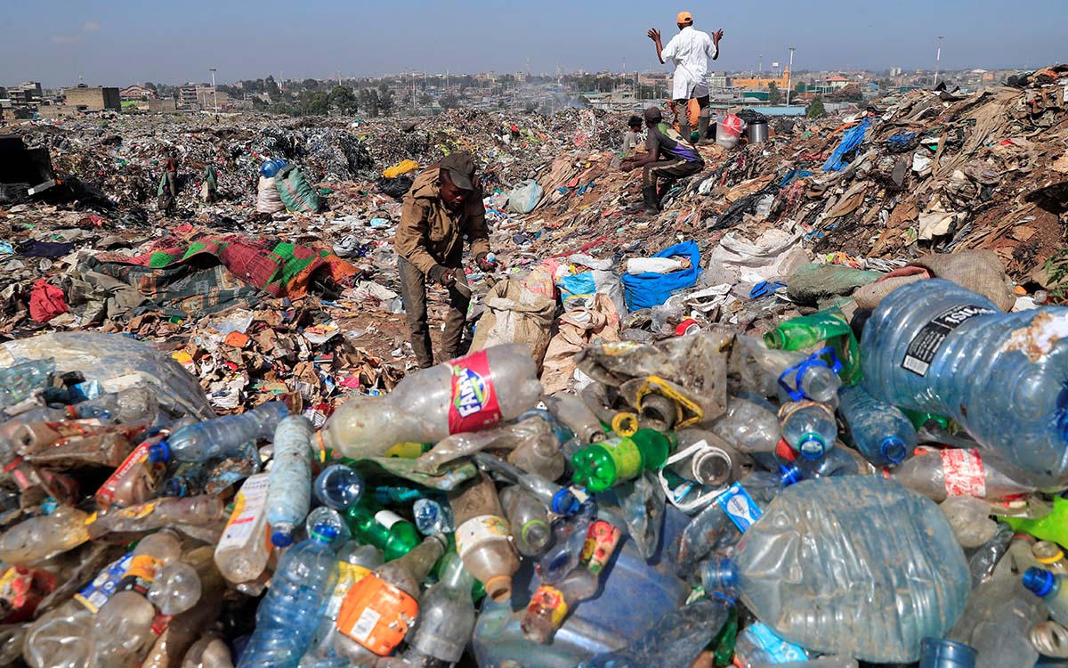 Detener el uso de plásticos en el comercio electrónico es posible: Oceana México