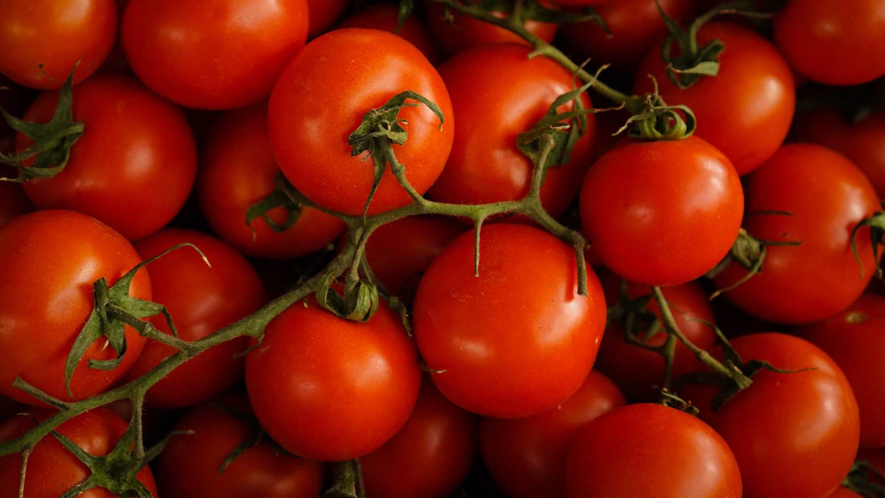 El increíble truco de José Andrés para pelar los tomates en segundos