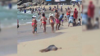 Guerrero: Fiscalía investiga aparición de dos cuerpos maniatados en playa de Acapulco