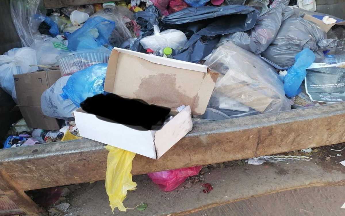 Hallan cadáver de feto en camión de basura en Nayarit