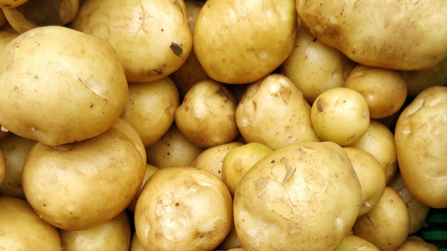 Karlos Arguiñano explica el truco para cocer las patatas en tiempo récord