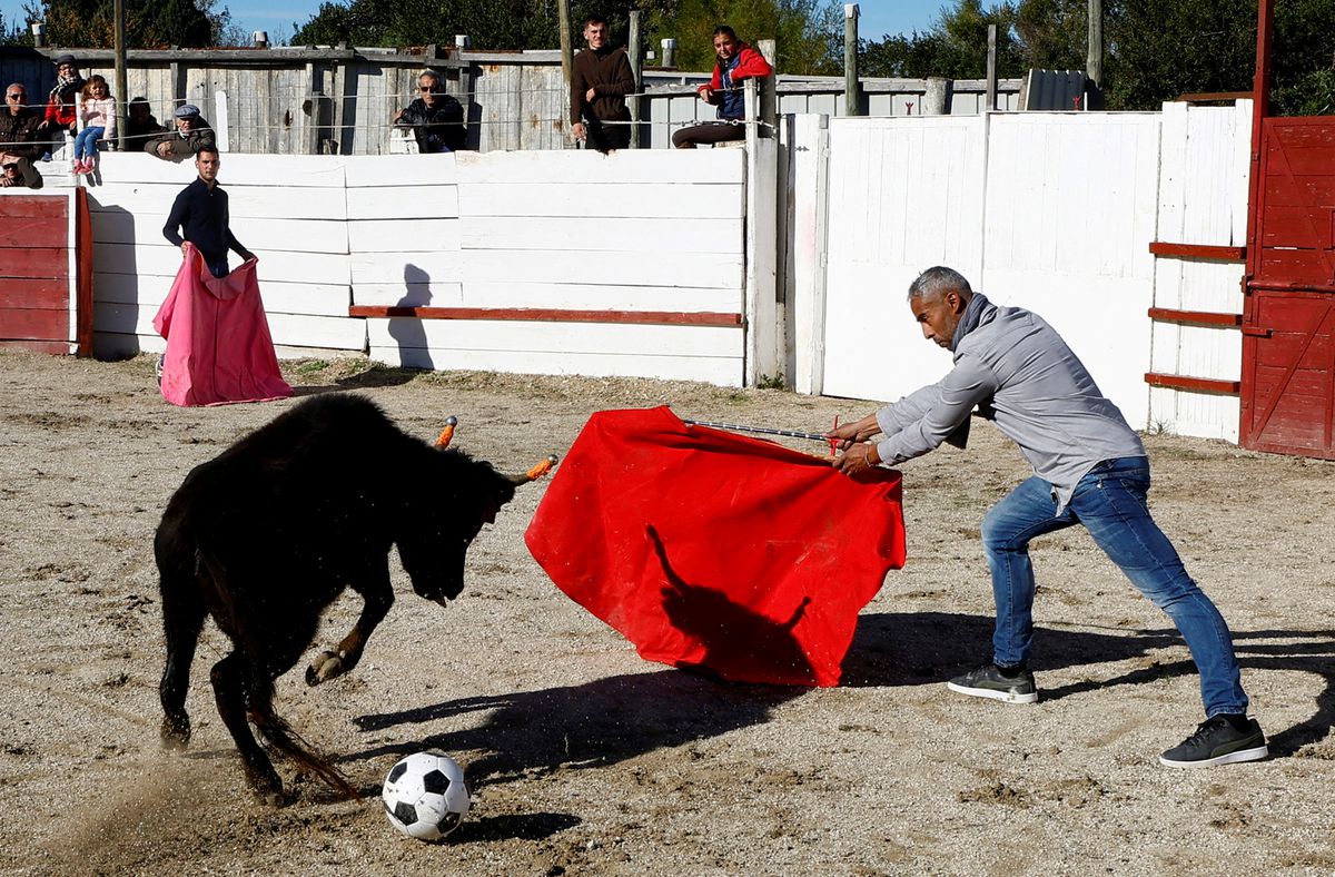 La izquierda retira por sorpresa y a última hora la propuesta para abolir los toros en Francia