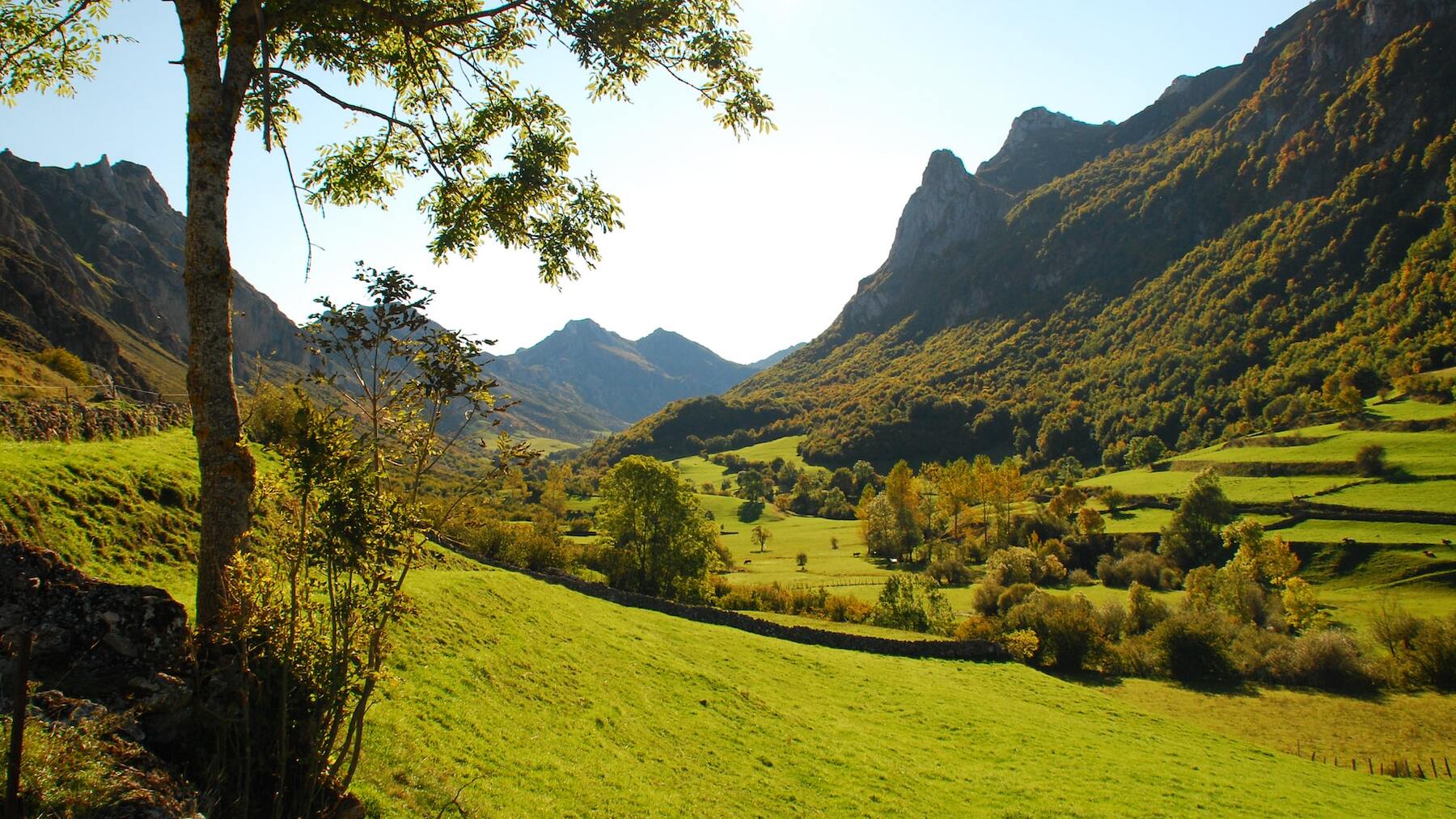 Los mejores planes para disfrutar de Asturias en el puente de diciembre