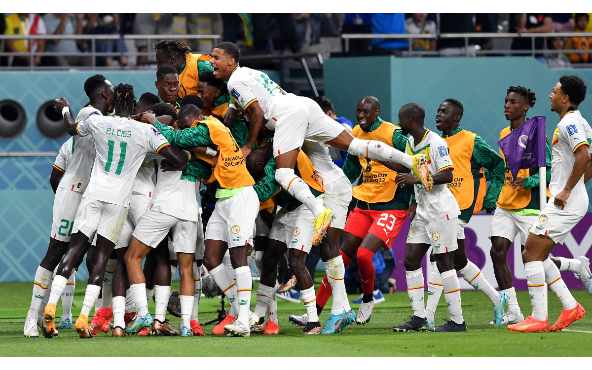 Qatar 2022: Senegal avanza a Octavos de Final en el Grupo A | Fotogalería