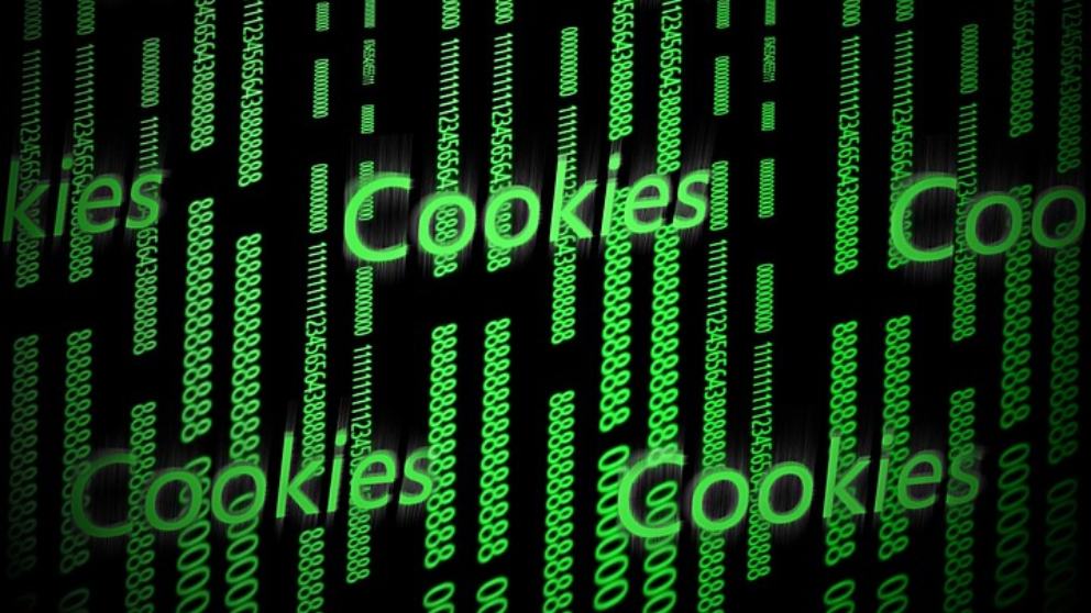 Qué son las cookies del navegador y para qué sirven