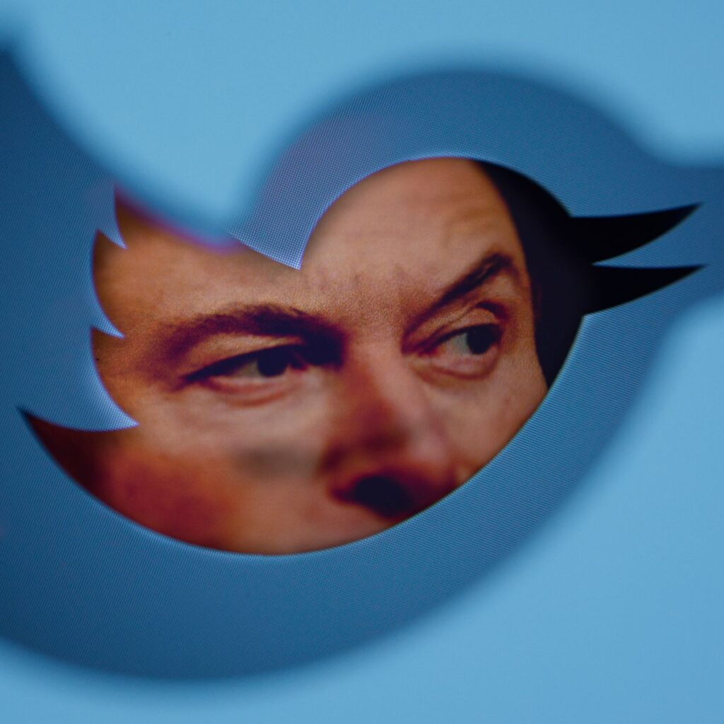 Quo Vadis, Elon Musk: por qué el colapso de Twitter no es un divertimento