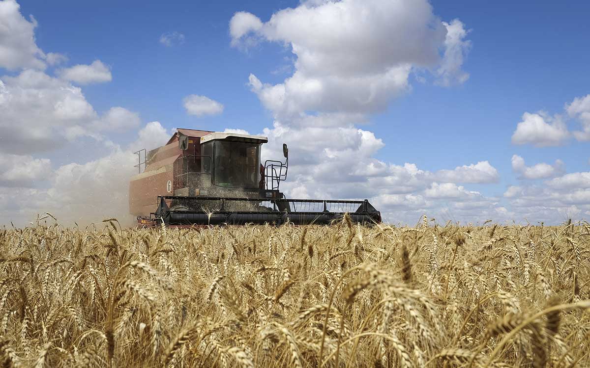 Rusia acepta retomar el acuerdo para exportar granos desde Ucrania