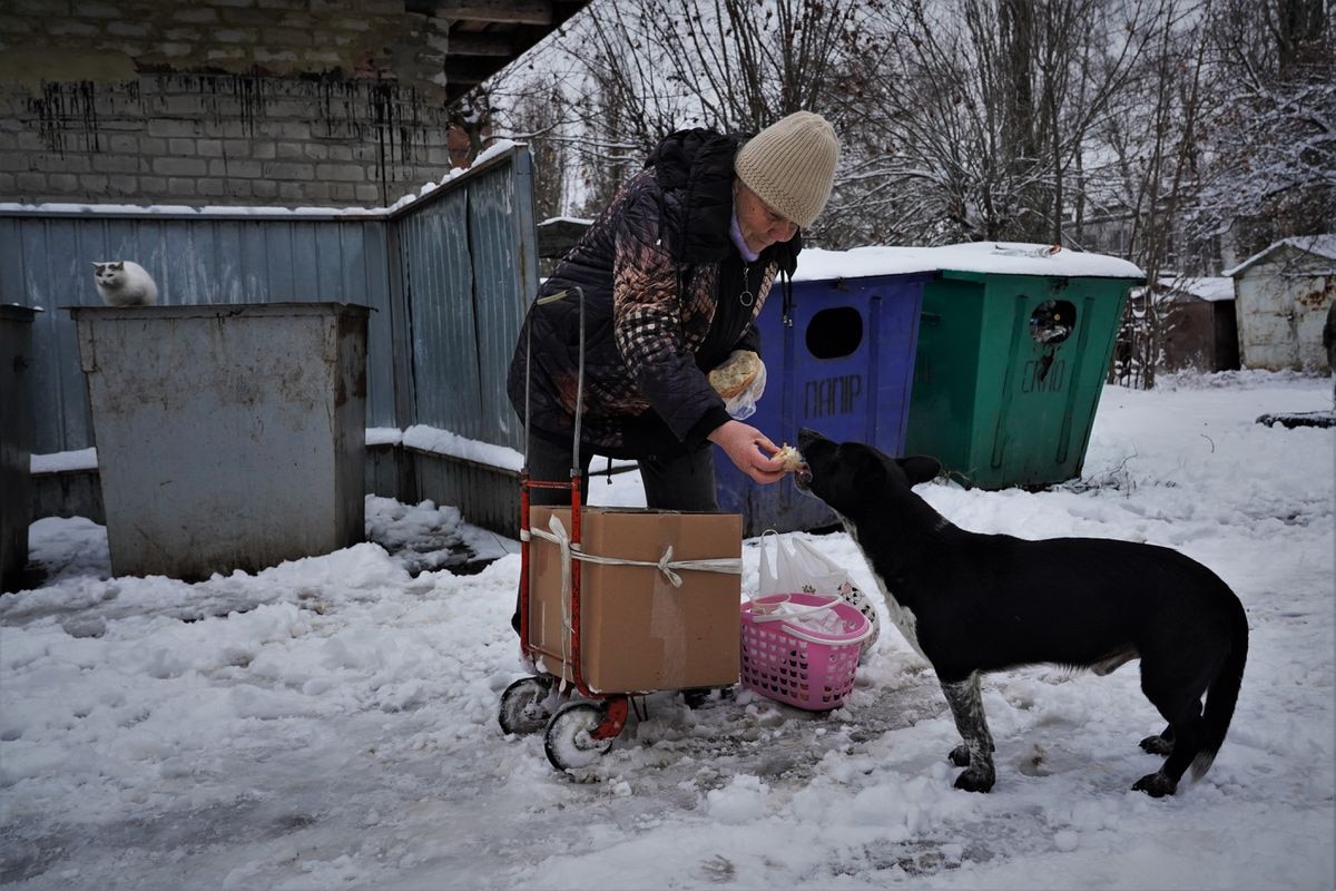 https://elpais.com/internacional/2022-11-19/la-primera-gran-nevada-en-ucrania-congela-a-los-ciudadanos-ni-siquiera-tenemos-lena-para-afrontar-el-invierno.html