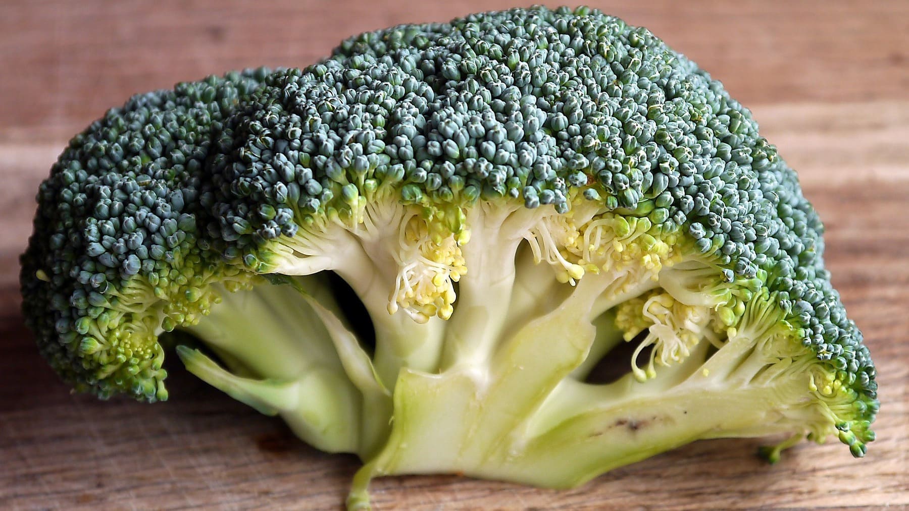 ¿El brócoli se puede congelar? La mejor forma de conservarlo