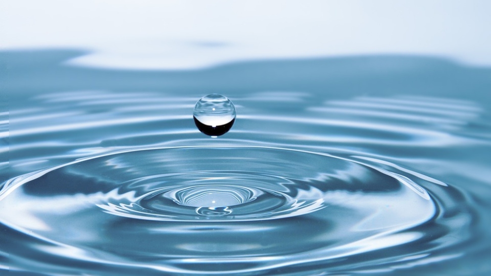 ¿Qué porcentaje de agua debe tener el cuerpo humano?