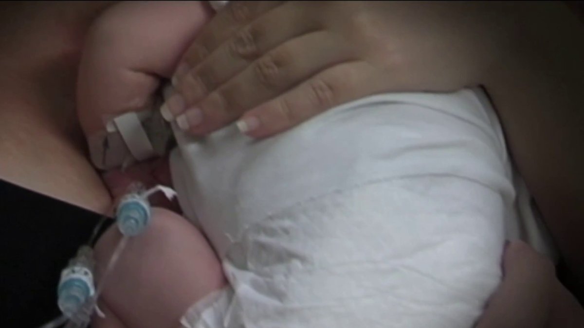Nace un bebé prematuro en crucero de Royal Caribbean en Miami