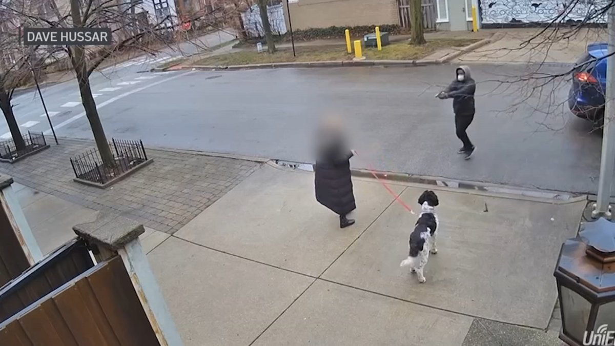 Asaltan a mujer a punta de pistola mientras paseaba a su perro en Lincoln Park