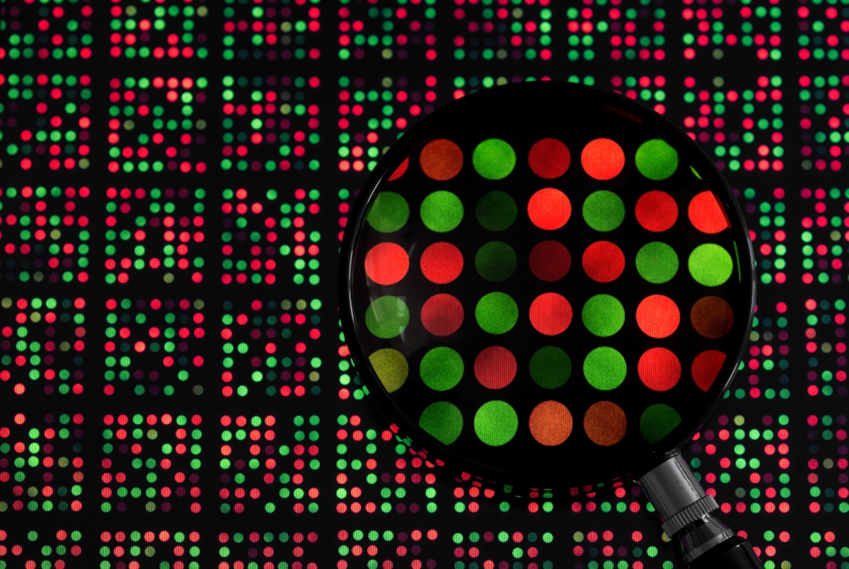 A medida que la IA impregna la biotecnología, ¿qué buscan los inversores en 2023?