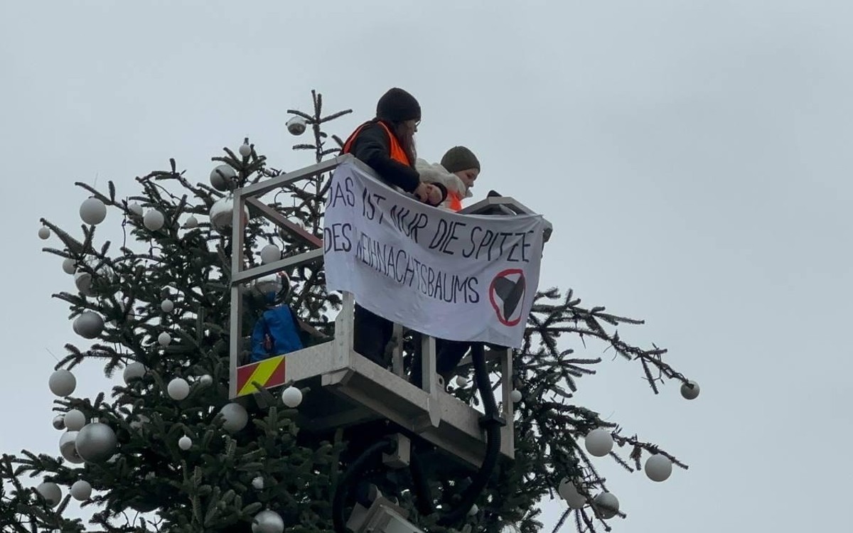 Activistas climáticos vs. árbol de Navidad | Video