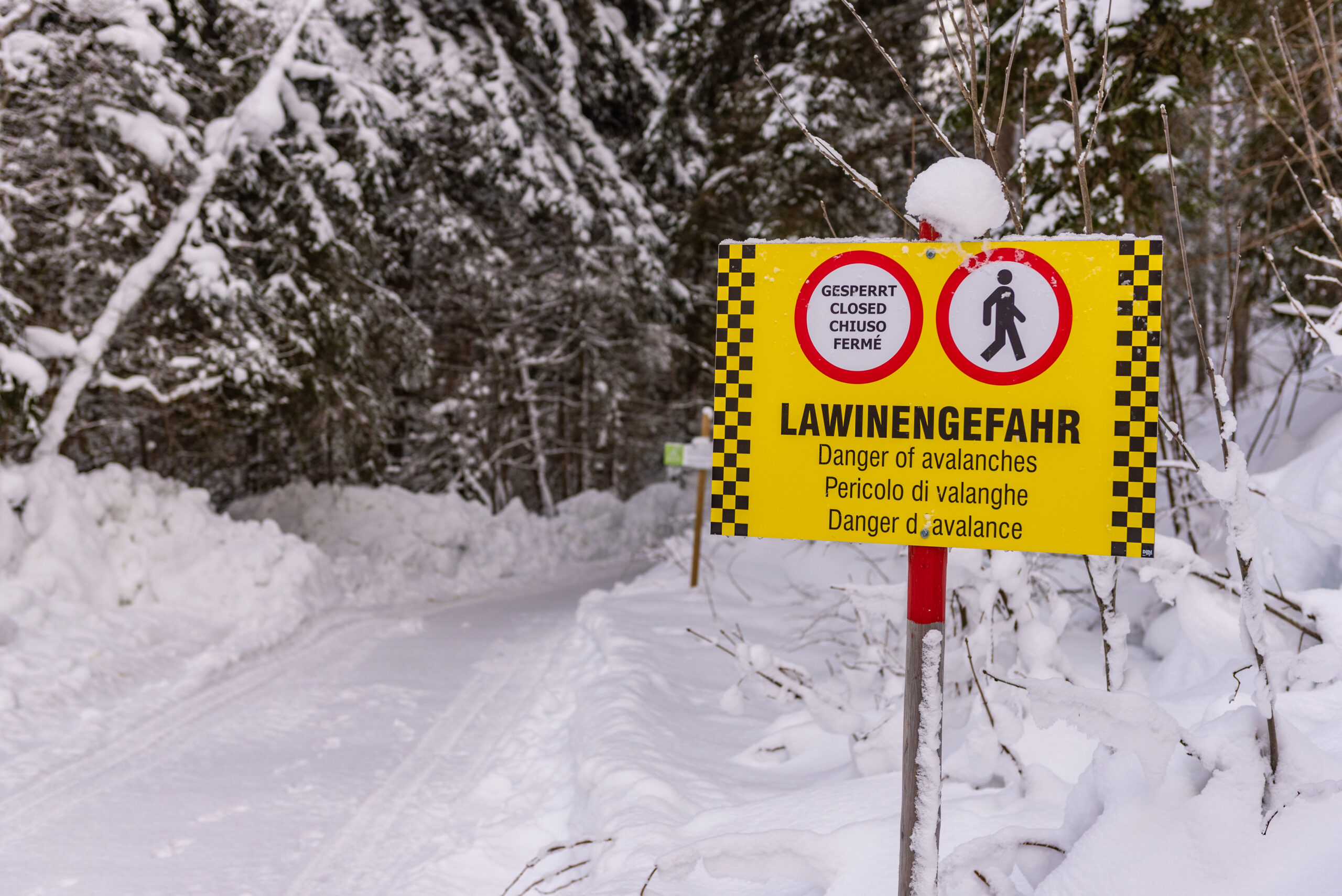 Avalancha en Austria deja 10 desaparecidos, según informes