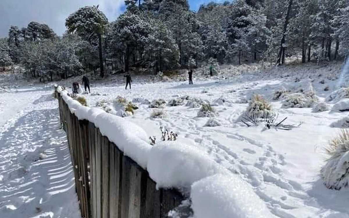 Cuidan a turistas en Parque Nacional Cofre de Perote ante nevadas