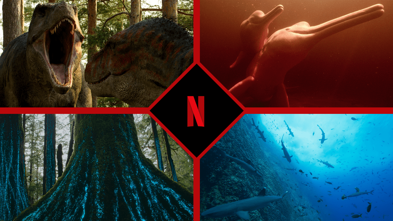 Documentales sobre la naturaleza que llegarán a Netflix en 2023 y más allá