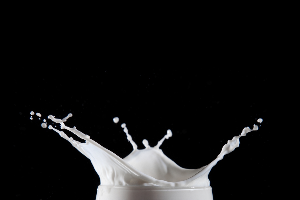 El futuro de la leche es... ¿leche?