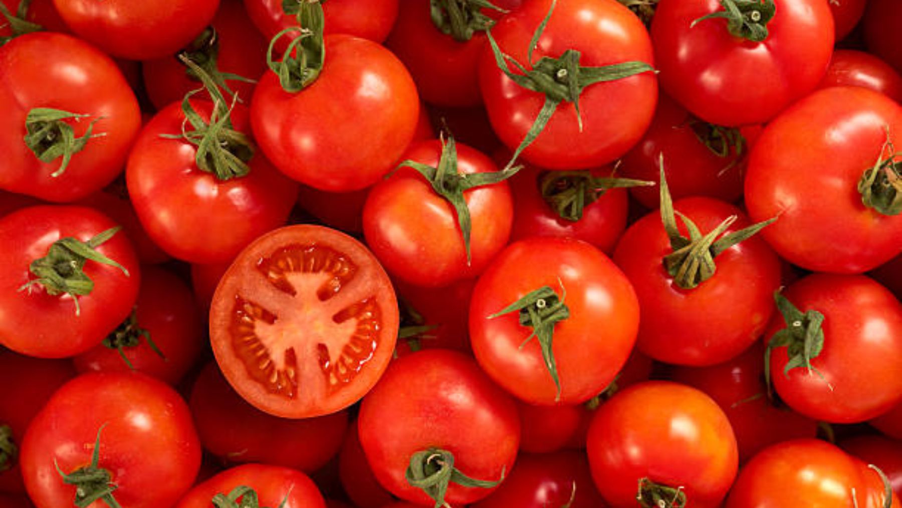 El truco viral para mantener los tomates frescos hasta dos semanas