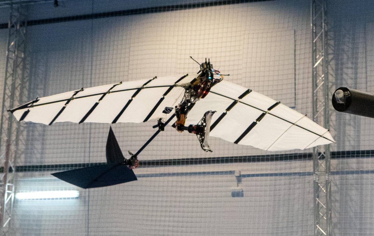 Este ornitóptero autónomo aterriza y se posa sobre una sola garra