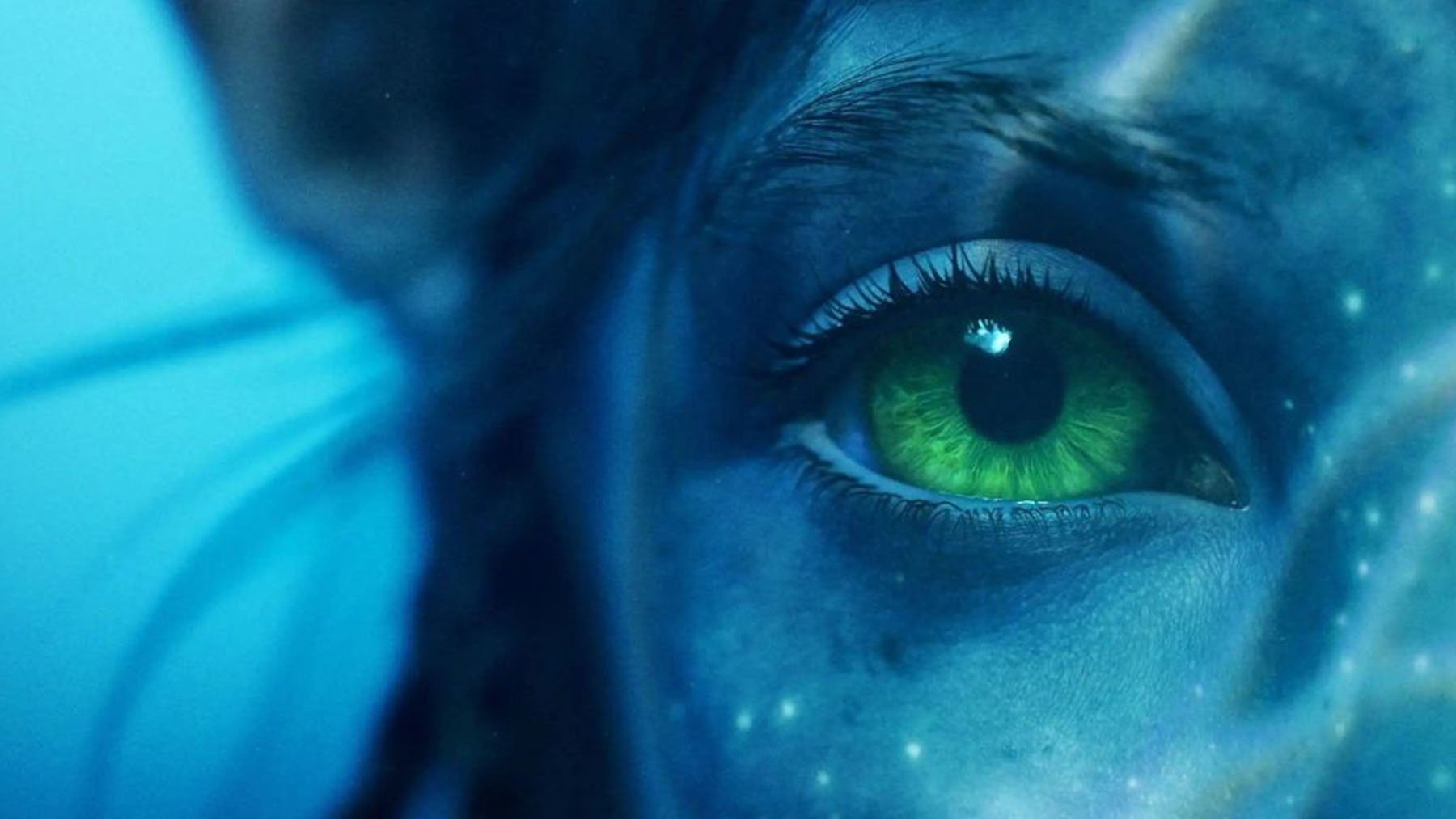 Estrenos: La secuela de Avatar planea conquistar la taquilla mundial
