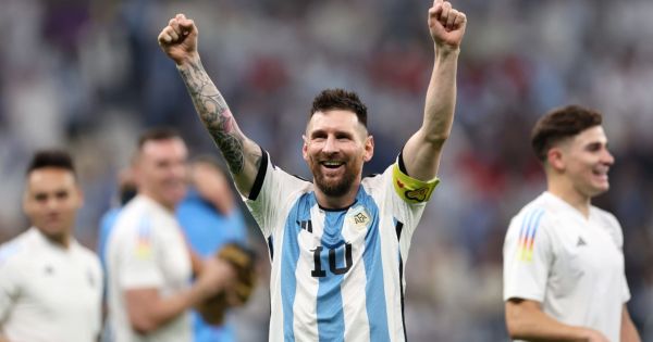 Final Argentina vs Francia: Noblex perdería u$s 1 millón si gana la selección