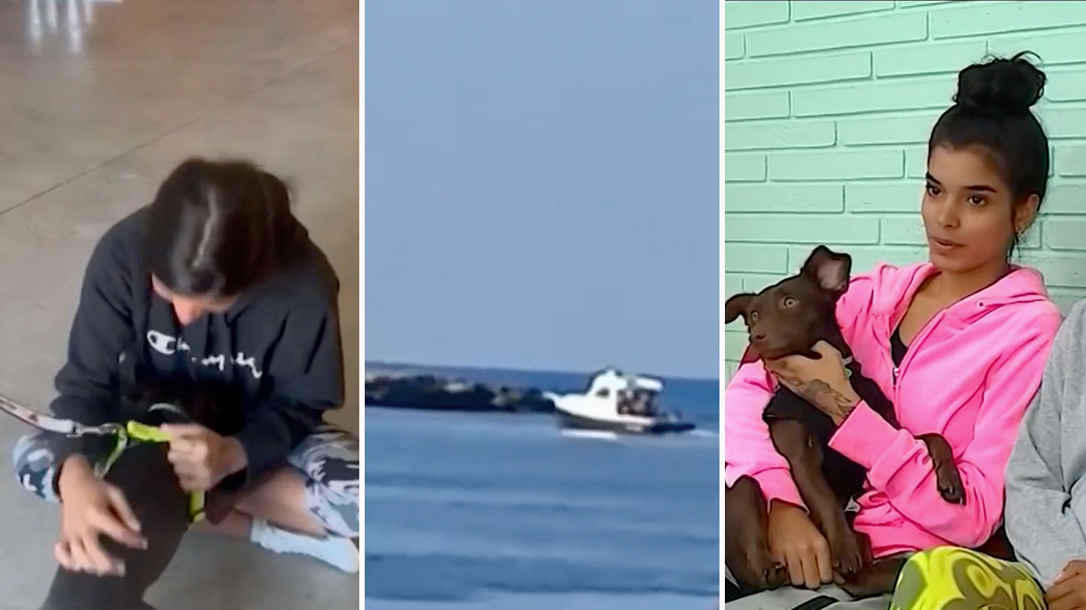 Hermanas que llegaron a EEUU en balsa se reúnen con el perro que trajeron desde Cuba