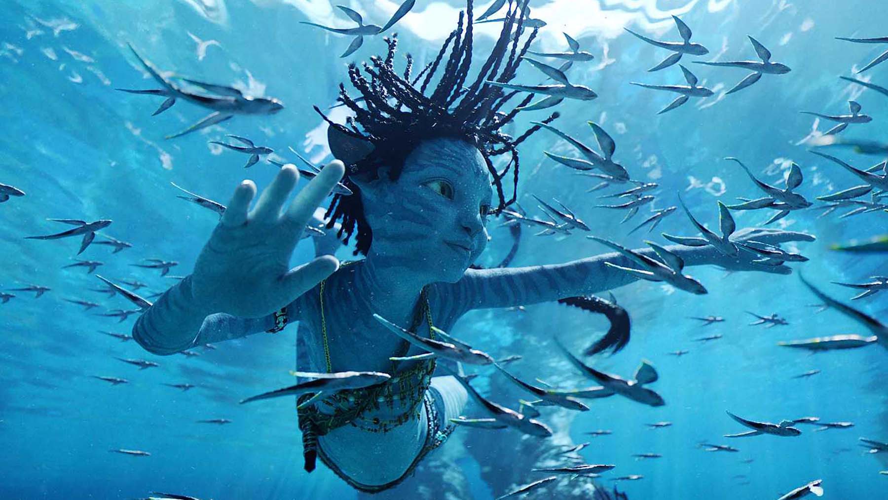 Los analistas creen que ‘Avatar: el sentido del agua’ superará los 500 millones en su debut mundial